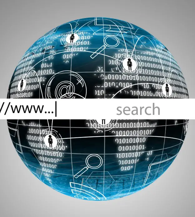 Insurance Investigations 