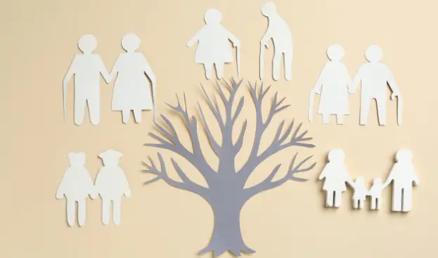 Professional Genealogy Research